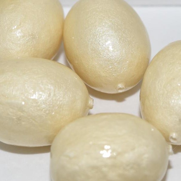 800 - Paper Mache olive bead in Ivory (24x18mm)