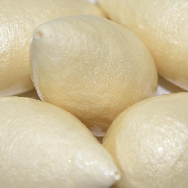 800 - Paper Mache drop bead in Ivory (40x23mm)