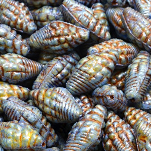 8 x Mitre shells in Opaque Blue Picasso with Copper (16x8mm)