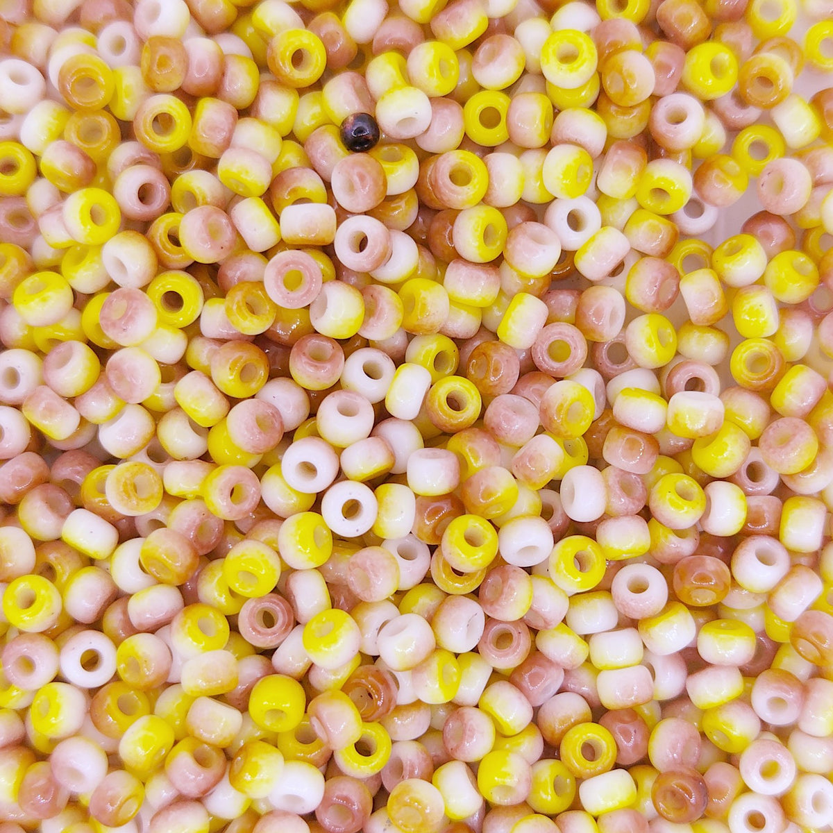 55059 - 10g Size 8/0 Miyuki seed beads in Funky Green