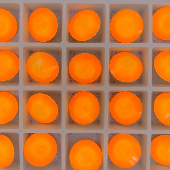 14mm rivoli in Crystal Electric Orange (Aurora)