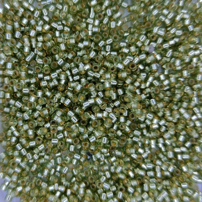 DB2163 - 25g Size 11/0 delicas in Duracoat Silver lined Willow