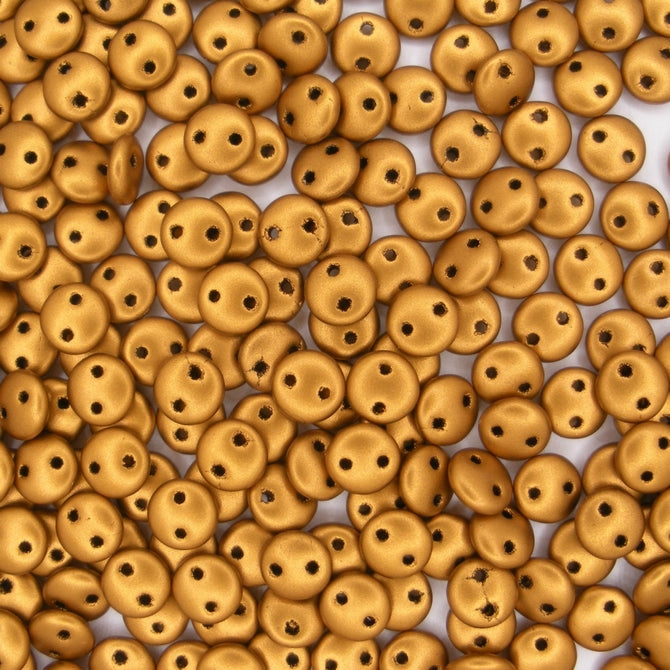 25 x CzechMate lentils in Matt Goldenrod