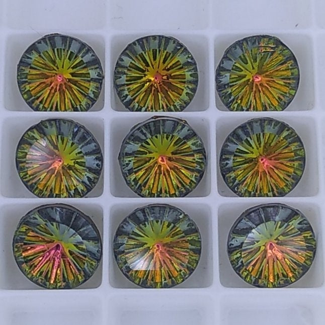 10mm Sahara 2 chaton from Germany