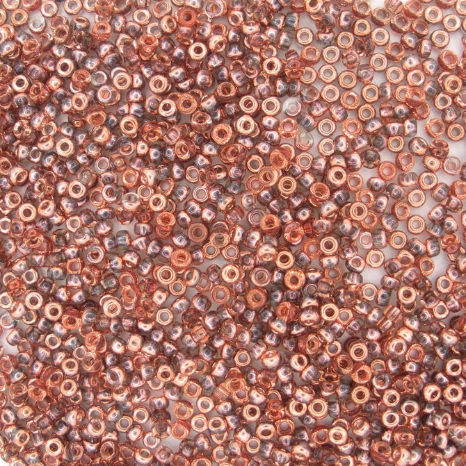 55007 - 10g Size 11/0 Miyuki seed beads in Crystal/Capri Gold