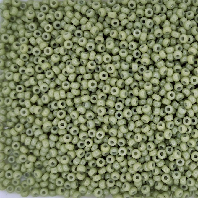 4474 - 10g Size 11/0 Miyuki seed beads in Duracoat Opaque Cactus