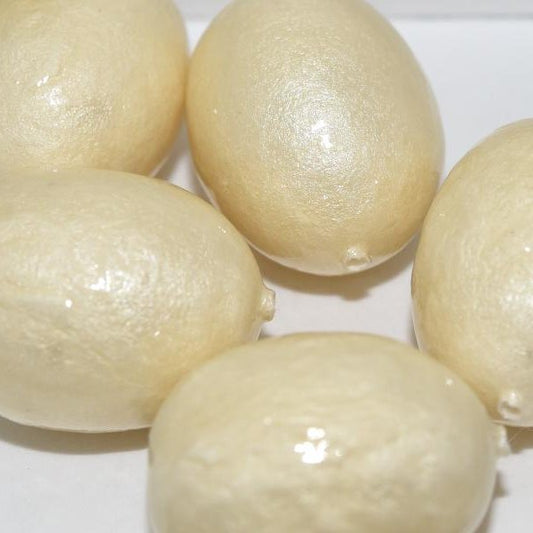 800 - Paper Mache olive bead in Ivory (24x18mm)