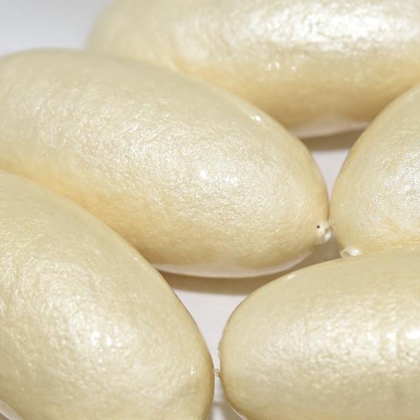 800 - Paper Mache olive bead in Ivory (40x18mm)