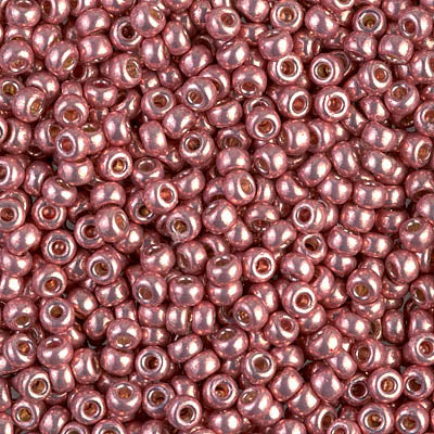 4209 - 10g Size 8/0 Miyuki seed beads in Duracoat Galvanised Dark Coral