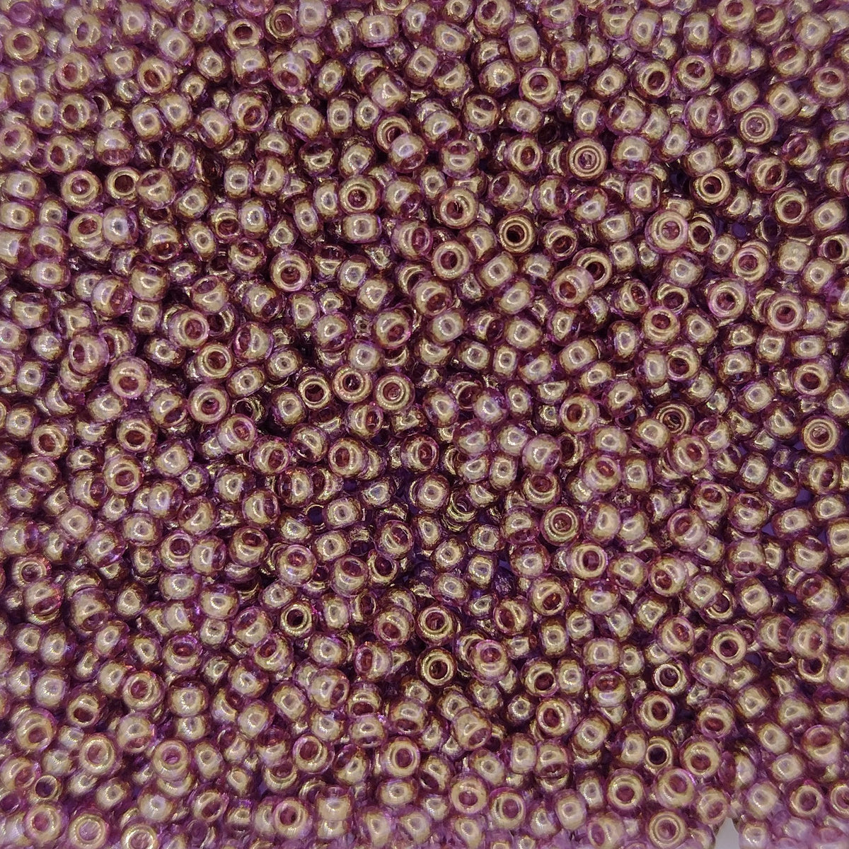 2448 - 10g Size 11/0 Miyuki seed beads in Transparent Plum Gold Lustre