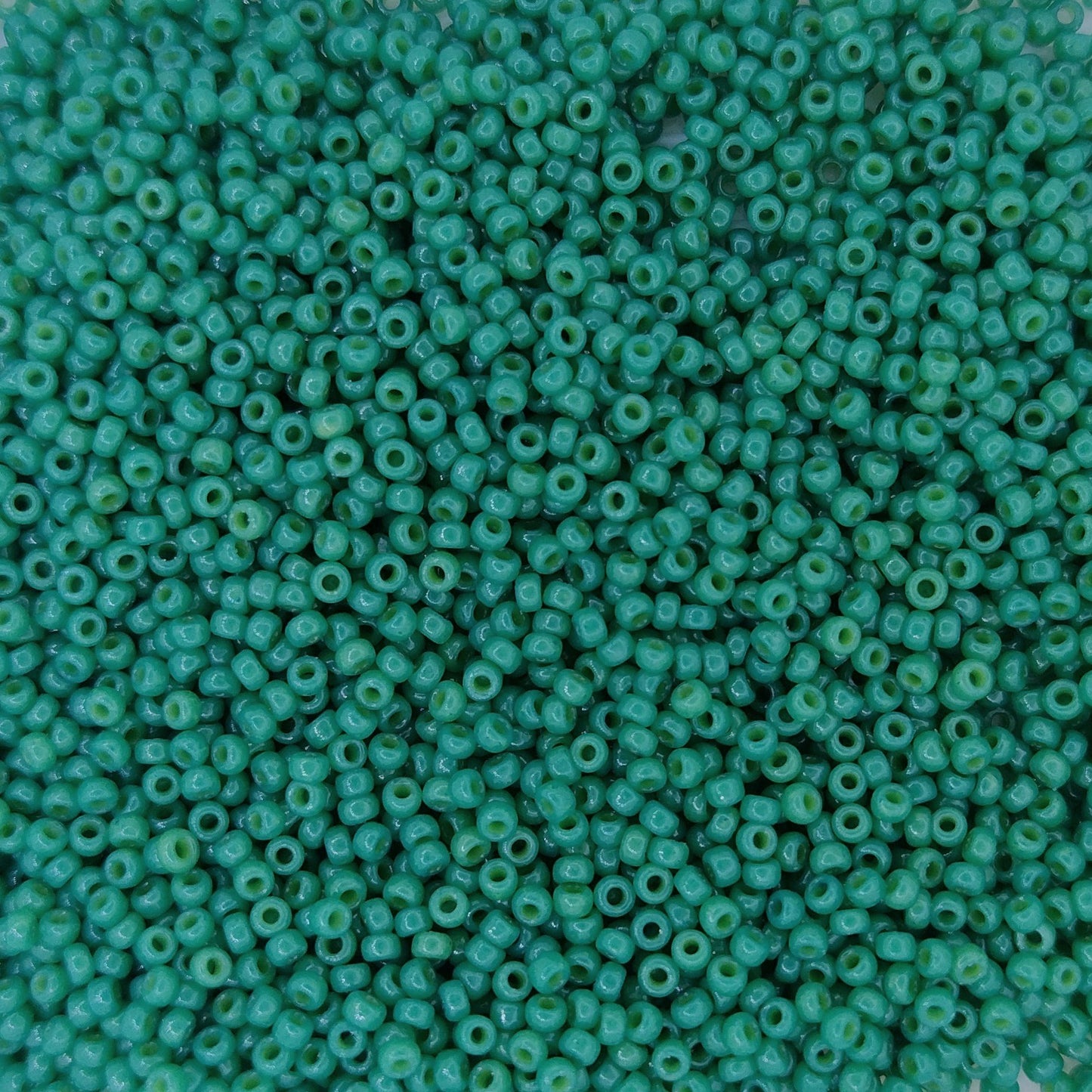 4477 - 25g Size 15/0 Miyuki seed beads in Duracoat Opaque Deep Green