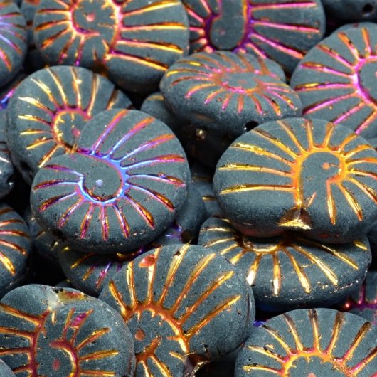 6 x Ammonite shells in Matt Black Sliperit (17x13mm)