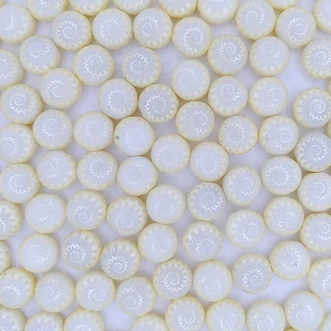 10 x 8mm candy beads in Pastel Cream with Laser etched Shell