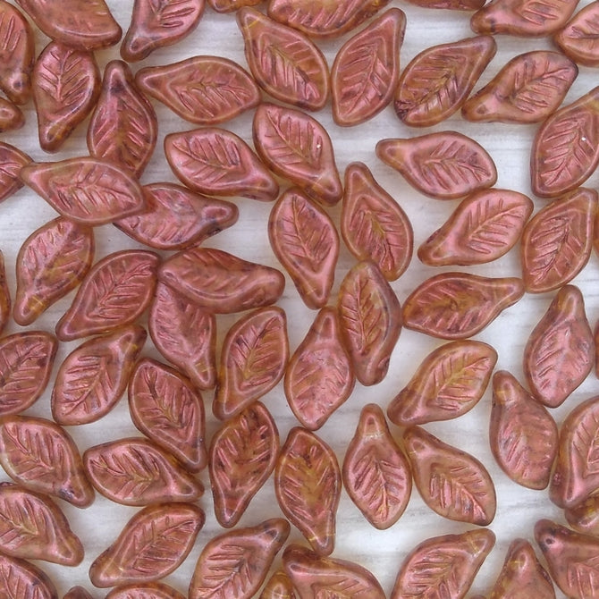 15 x Bay leaves in Crystal Ginger (12x6mm)