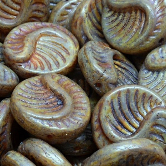 2 x 19mm Fossil Coins in Opaque Alabaster Eucalyptus