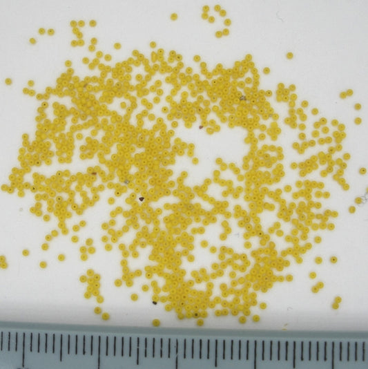 1g Size 24/0 Venetian seed beads in Yellow (1940s)